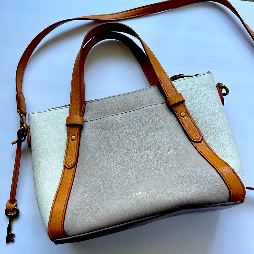 Crossbody Fossil Bag
